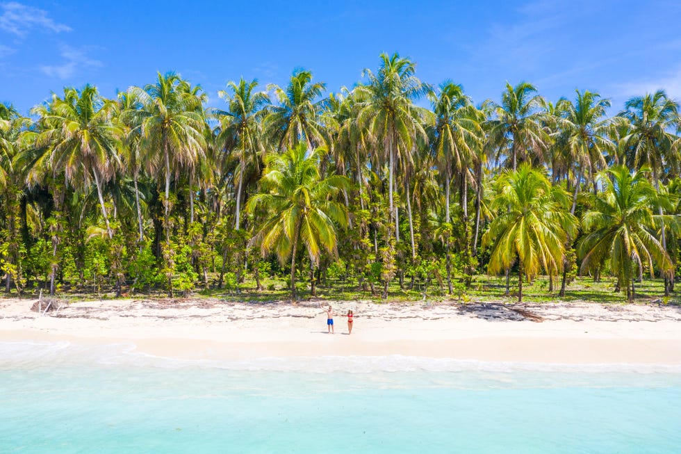 tourists on a desert tropical beach zapatilla island, panama