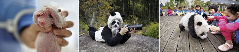 This is an image