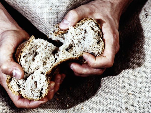 Pane e olio è la bomba che cura tutti i mali (del mondo italiano)