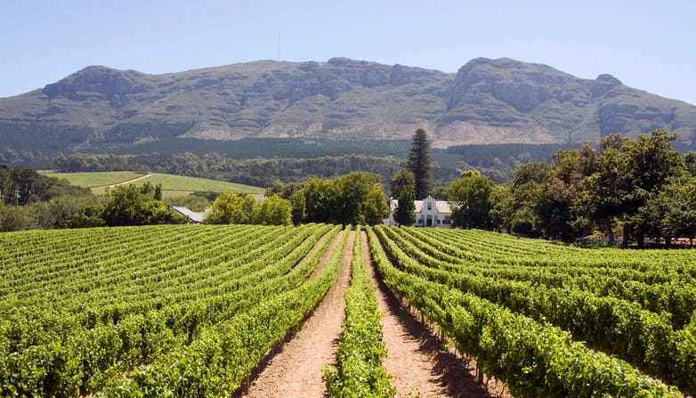 Panoramic view of a winery in South Africa