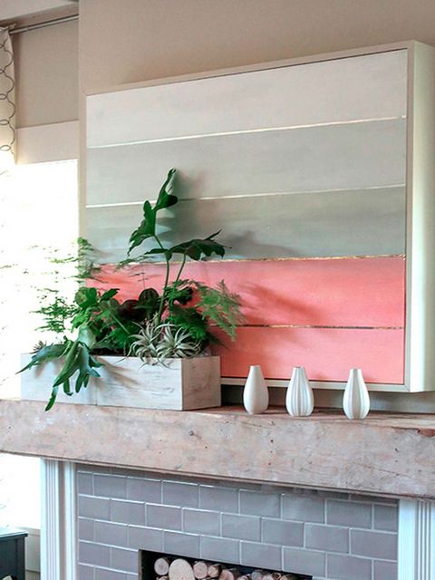 Wall, Shelf, Houseplant, Pink, Room, Home, Plant, Flowerpot, Leaf, Window, 