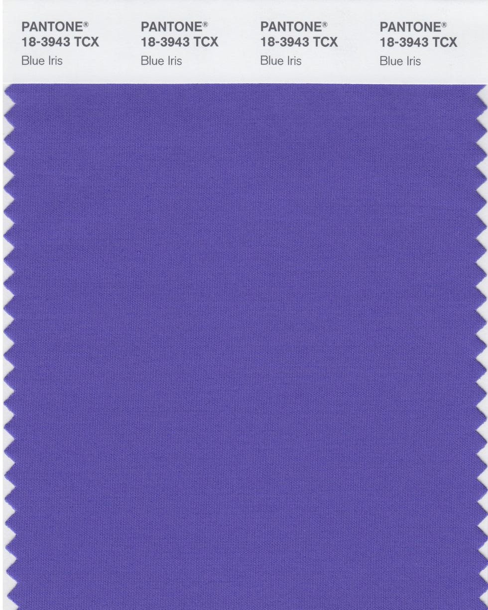 pantone color of the year pantone color of the year