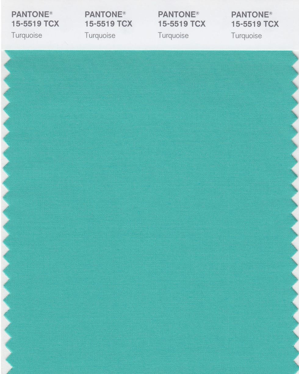 2010 pantone color of the year pantone color of the year