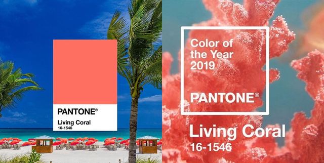 pantone,2019,living coral,珊瑚橘