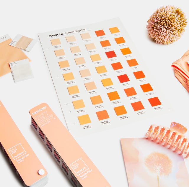 Pantone Color of the Year 2024 Peach Fuzz