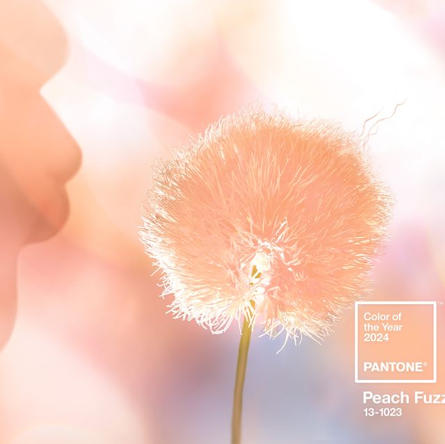 The Special Meaning Behind, Peach Fuzz, Pantone's 2024 Color of the Year