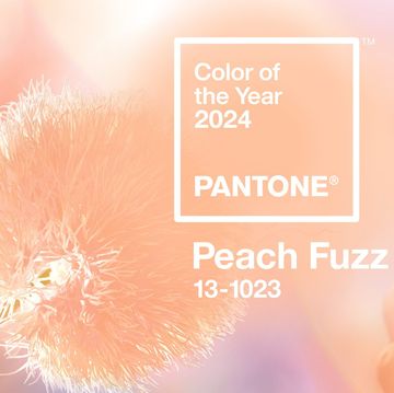 pantone 2024年度代表色包包推薦！以「peach fuzz柔和桃」色票包款打造療癒感新年穿搭