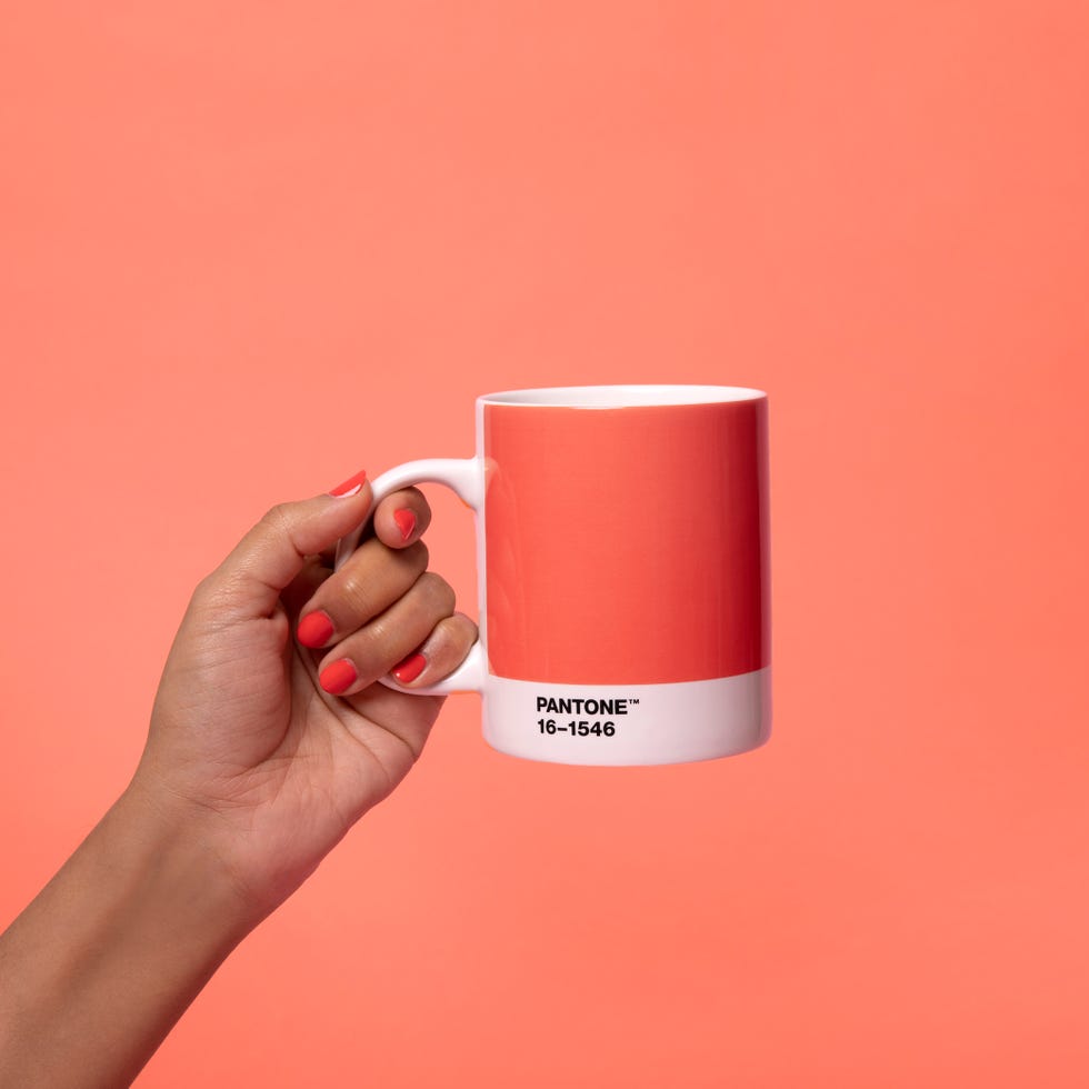 Room Copenhagen Pantone mug