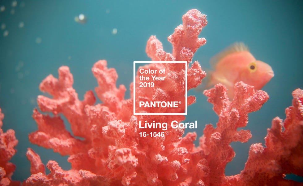 Pantone Colour of the Year 2019 - Living Coral