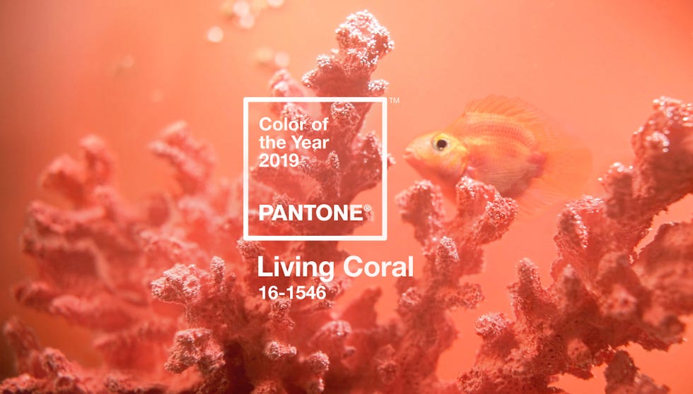 Pantone Colour of the Year 2019 - Living Coral
