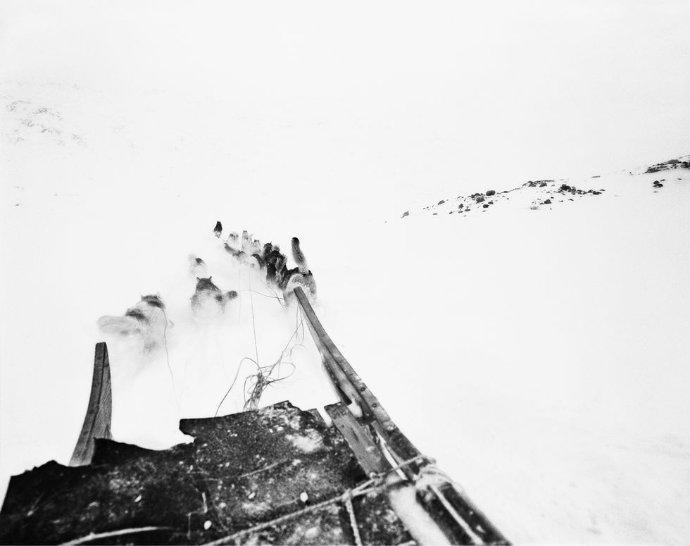 Paolo Solari Bozzi, Groenlandia, cani slitta, ghiaccio