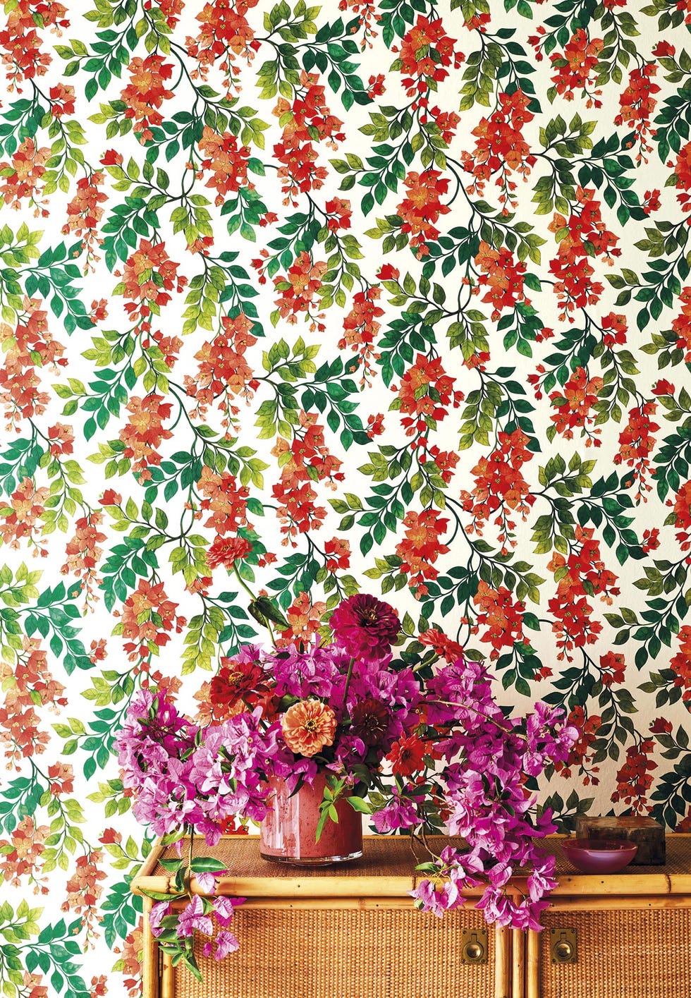 papel pintado de flores buganvillas