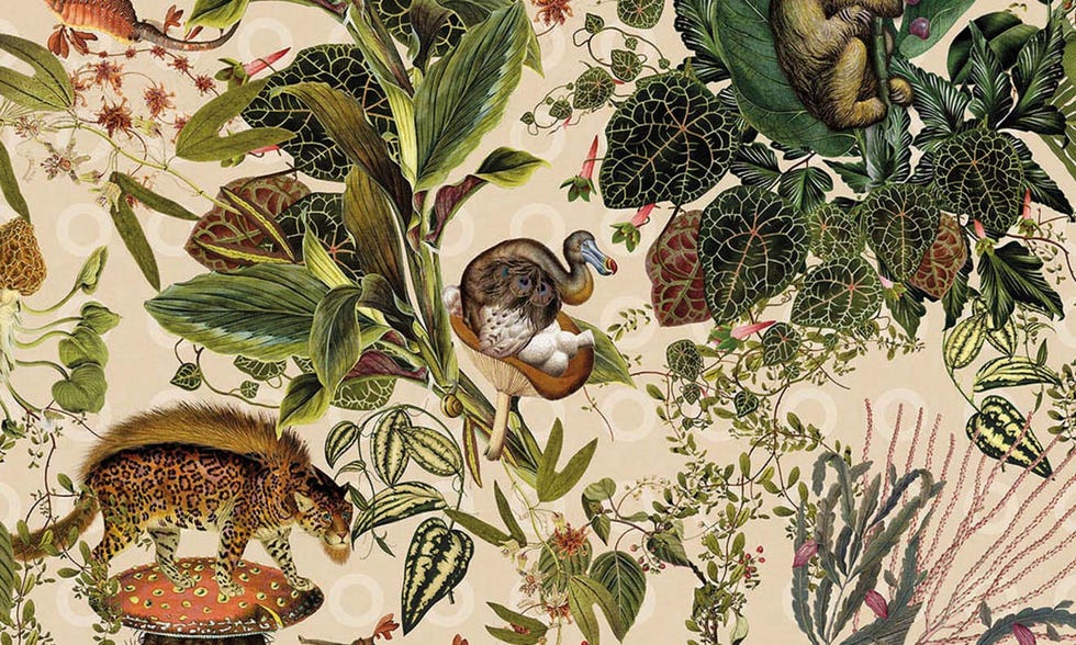 Papel Menagerie of Extinct Animals, de la colección Moooi