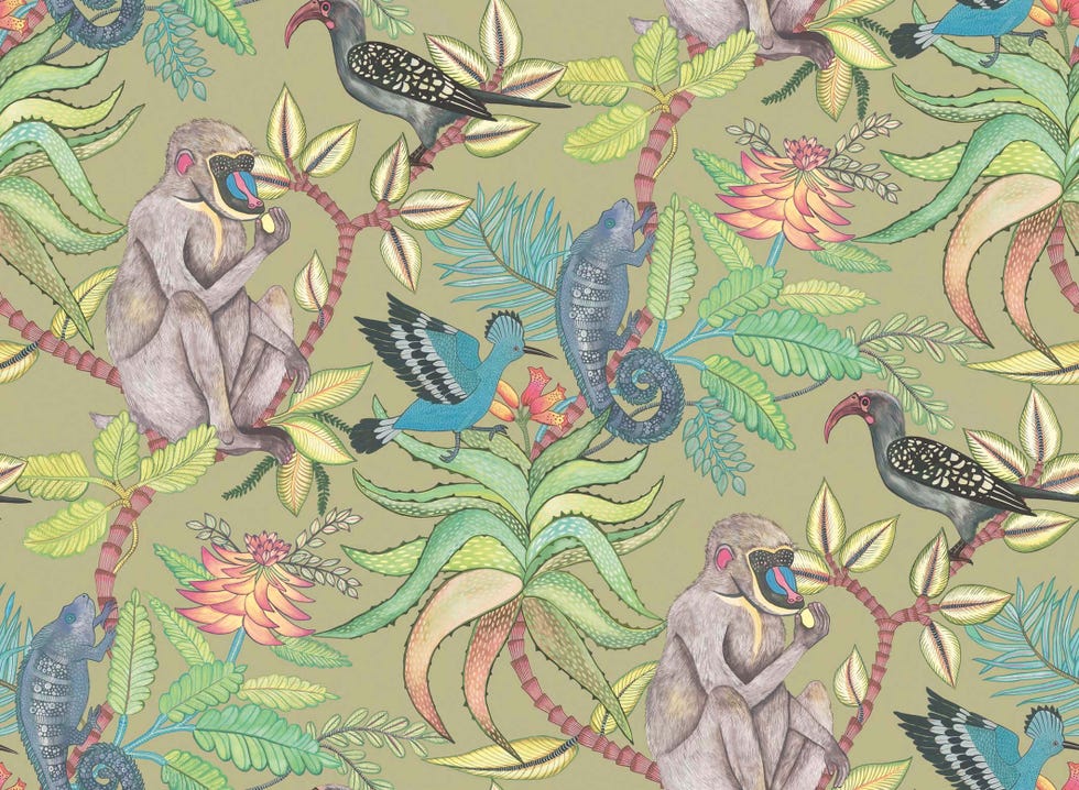 Papel pintado tropical con aves y babuinos