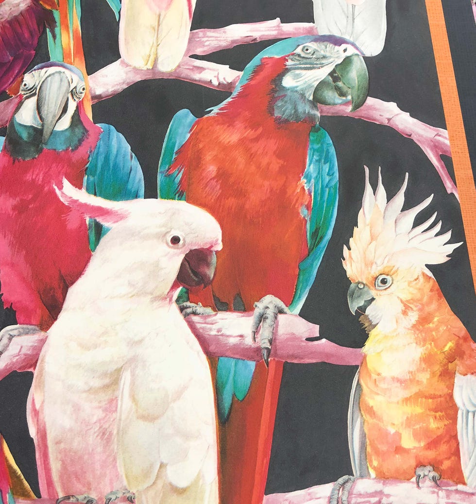 Papel pintado tropical