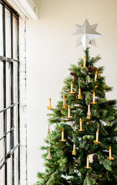 Christmas tree, Tree, Christmas decoration, oregon pine, Colorado spruce, Christmas, Evergreen, Home, Christmas ornament, Plant, 