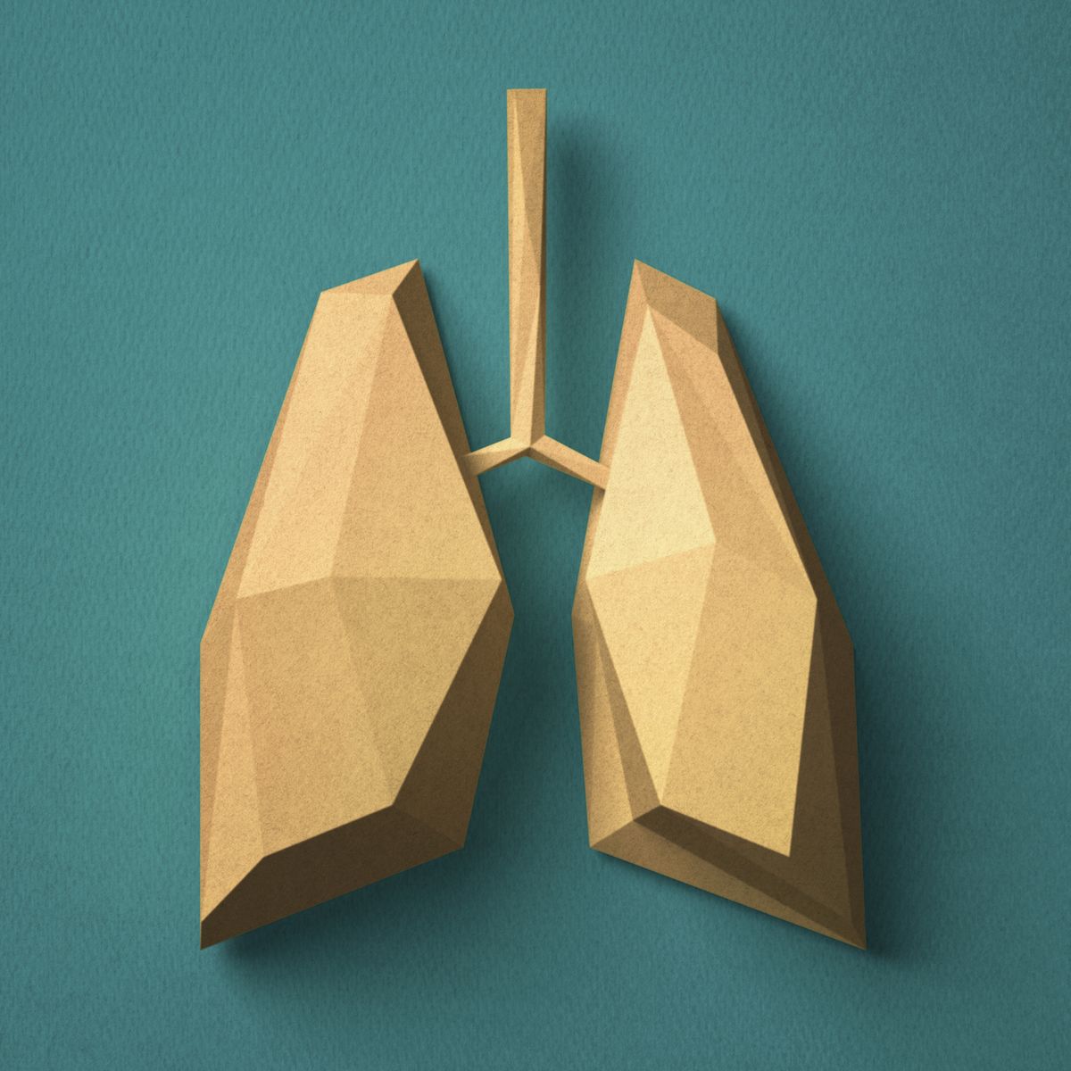 Paper craft Lung