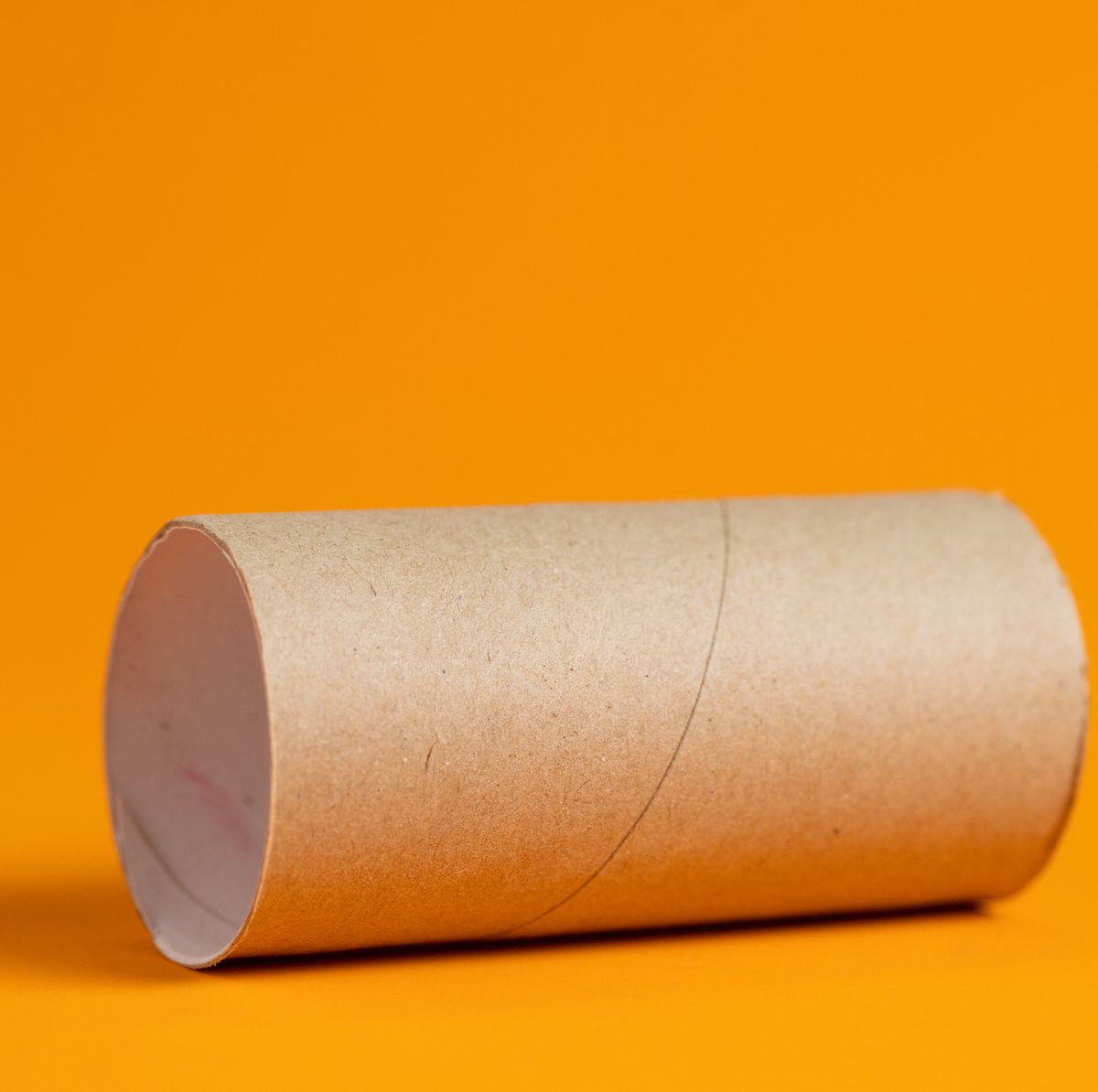 Do You Remember? - Remember when color toilet paper was popular