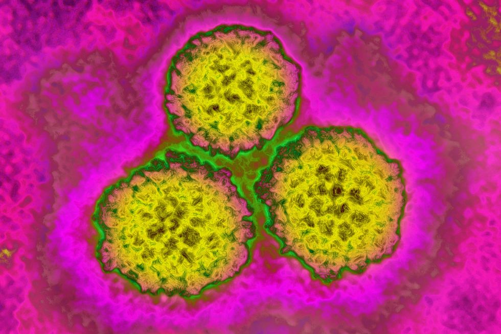 Experts Explain HPV, Its Vaccine, and Why It's Important