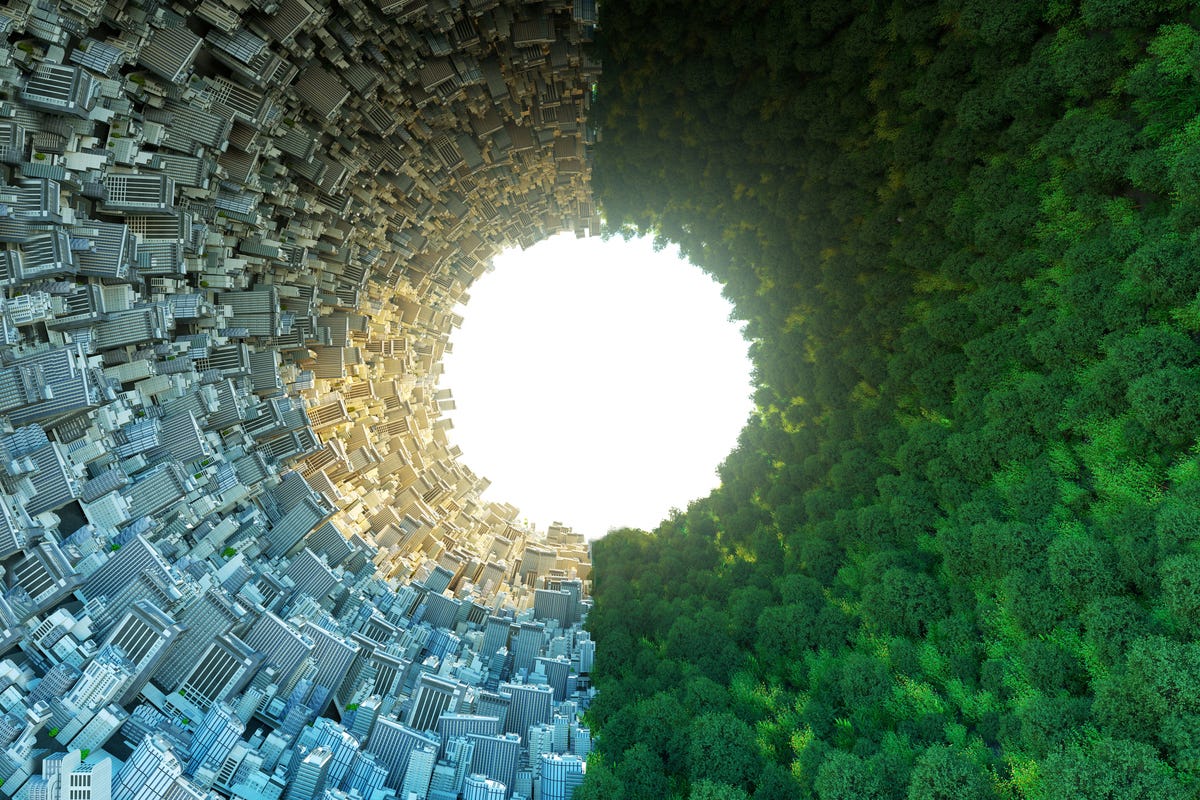 New Mycelium Composite Could Alter Constructing