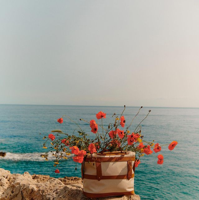 a bucket of flowers on a rock by the ocean