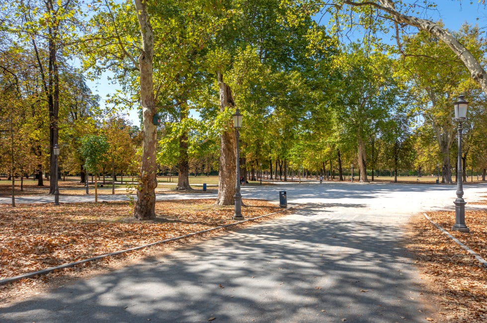 parco ducale park in parma, italy