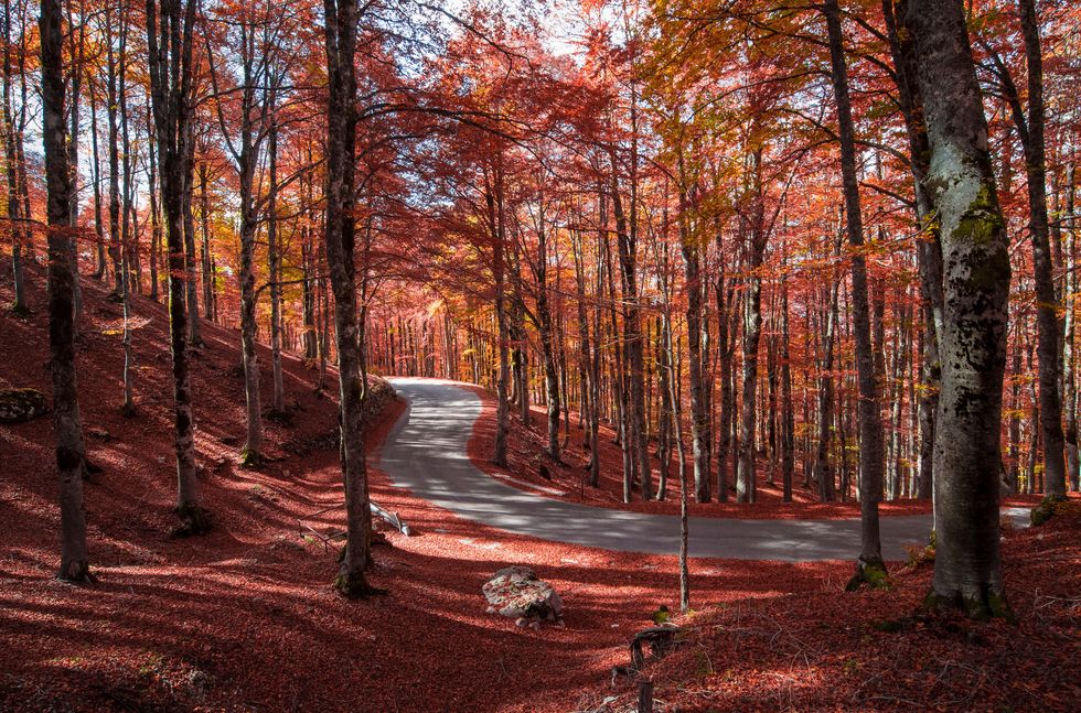 National Park of Abruzzo, Lazio and Molise (Italy) - The autumn with foliage