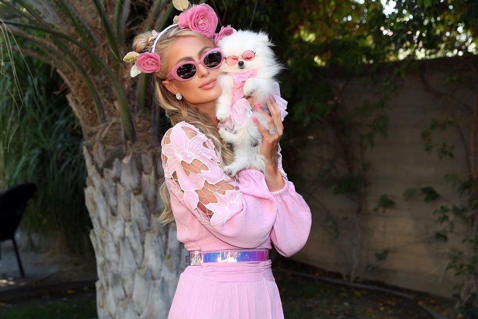 Paris Hilton outfit twins with her dog at Coachella