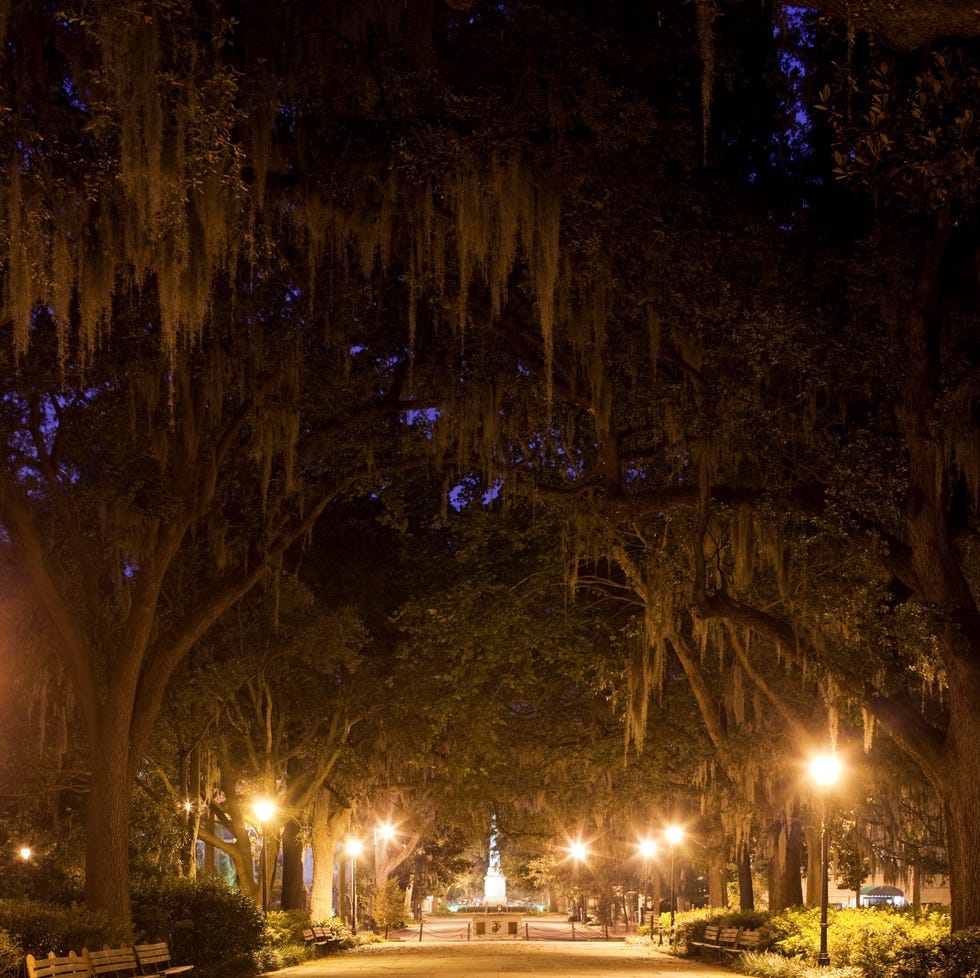 Park Fountain, Savannah, Georgia park fountain, savannah, georgia