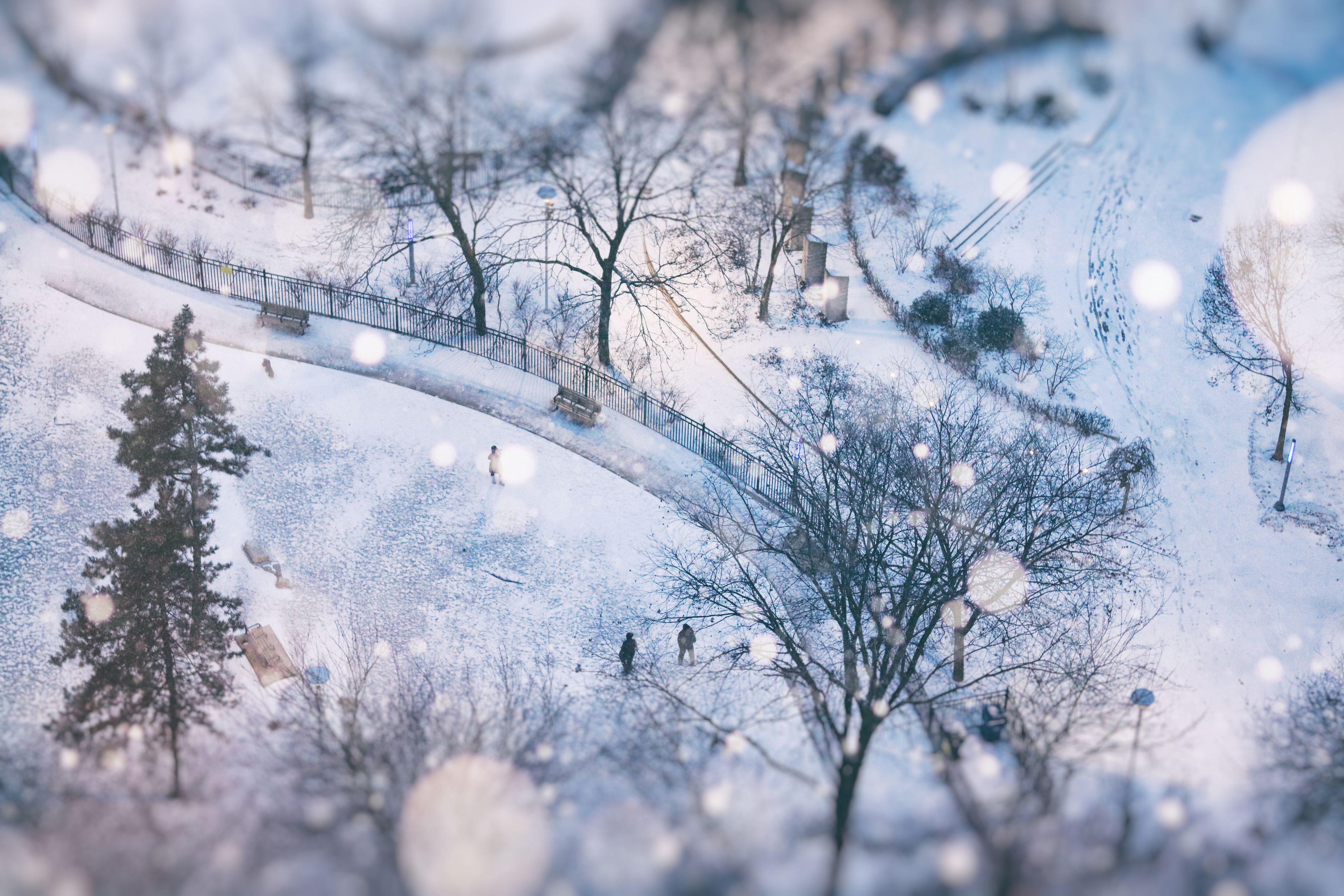 Snow Wallpaper - Find Perfect Snow Photos for your needs