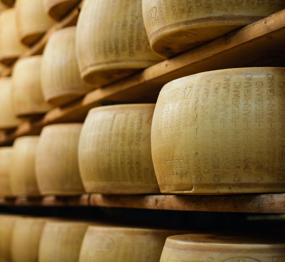 rounds of parmesan cheese aging on racks in modena, emilia romagna, italy