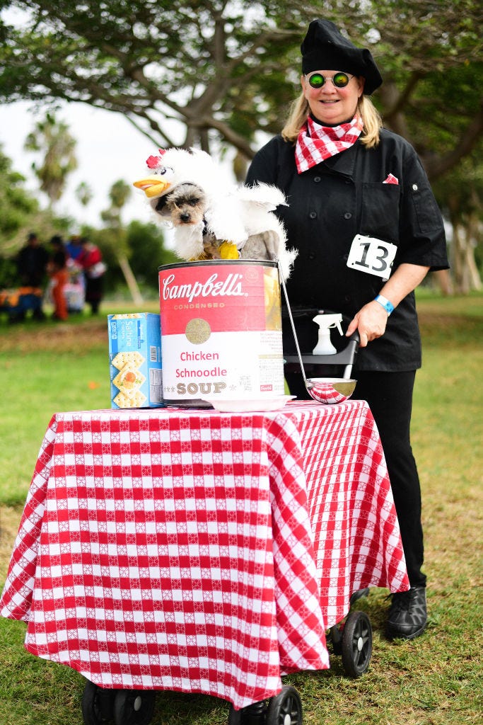 dog and owner dressed and soup and chef