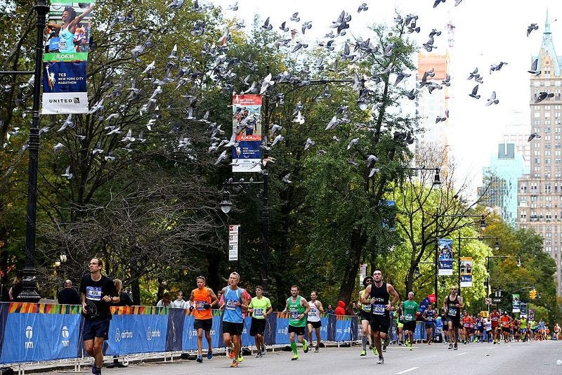 2016 new york city marathon