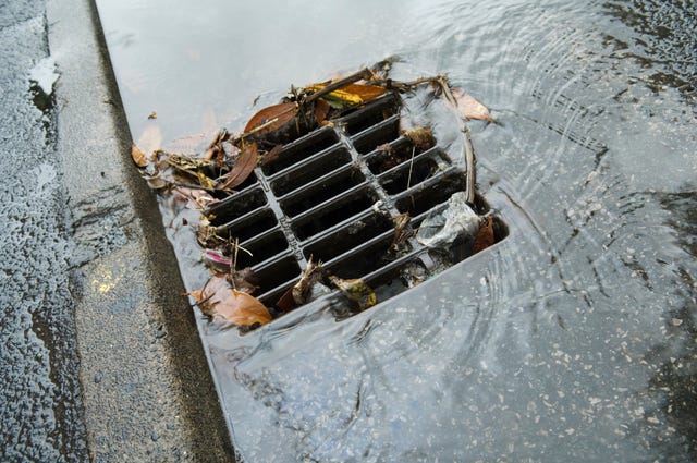 Runner in Australia Discovers At-Large Criminal Stuck in Storm Drain