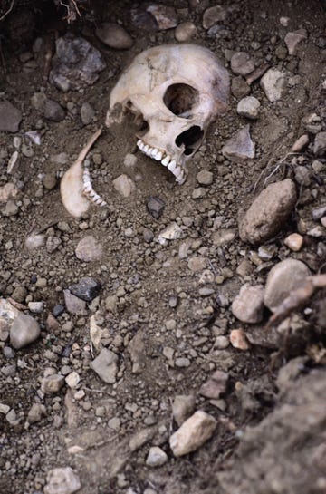 partly buried human skull in ground