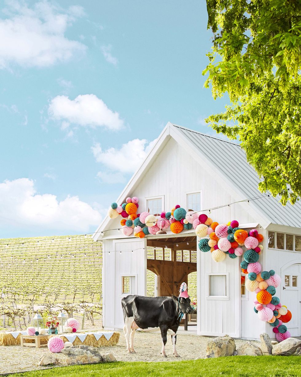 white party barn exterior with cow