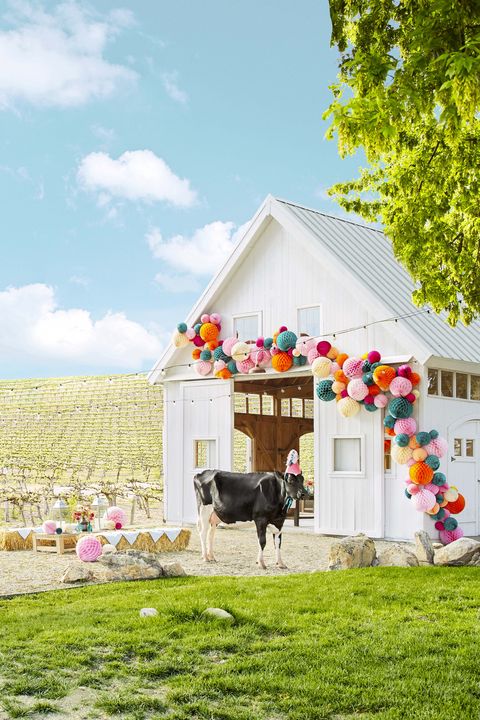 white party barn exterior with cow