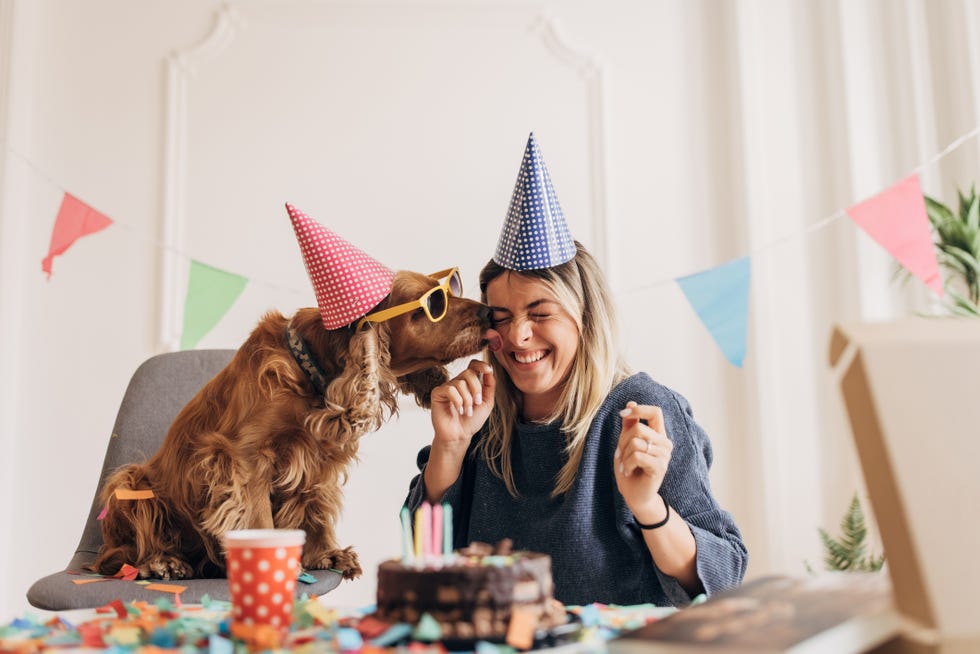 dog in suglasses and party hat kissing woman at birthday party