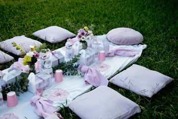 party on the lawn
