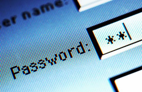 Password field on computer screen, detail