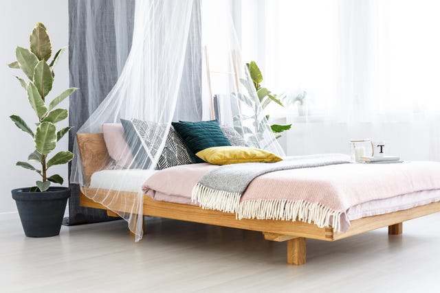 Pastel bedroom interior