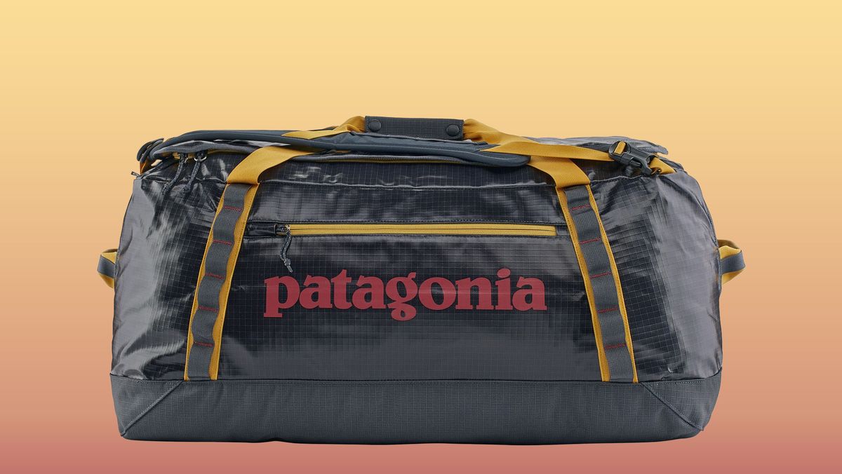 The Best Bags to Buy When Patagonia's Black Hole Bags Are Sold Out