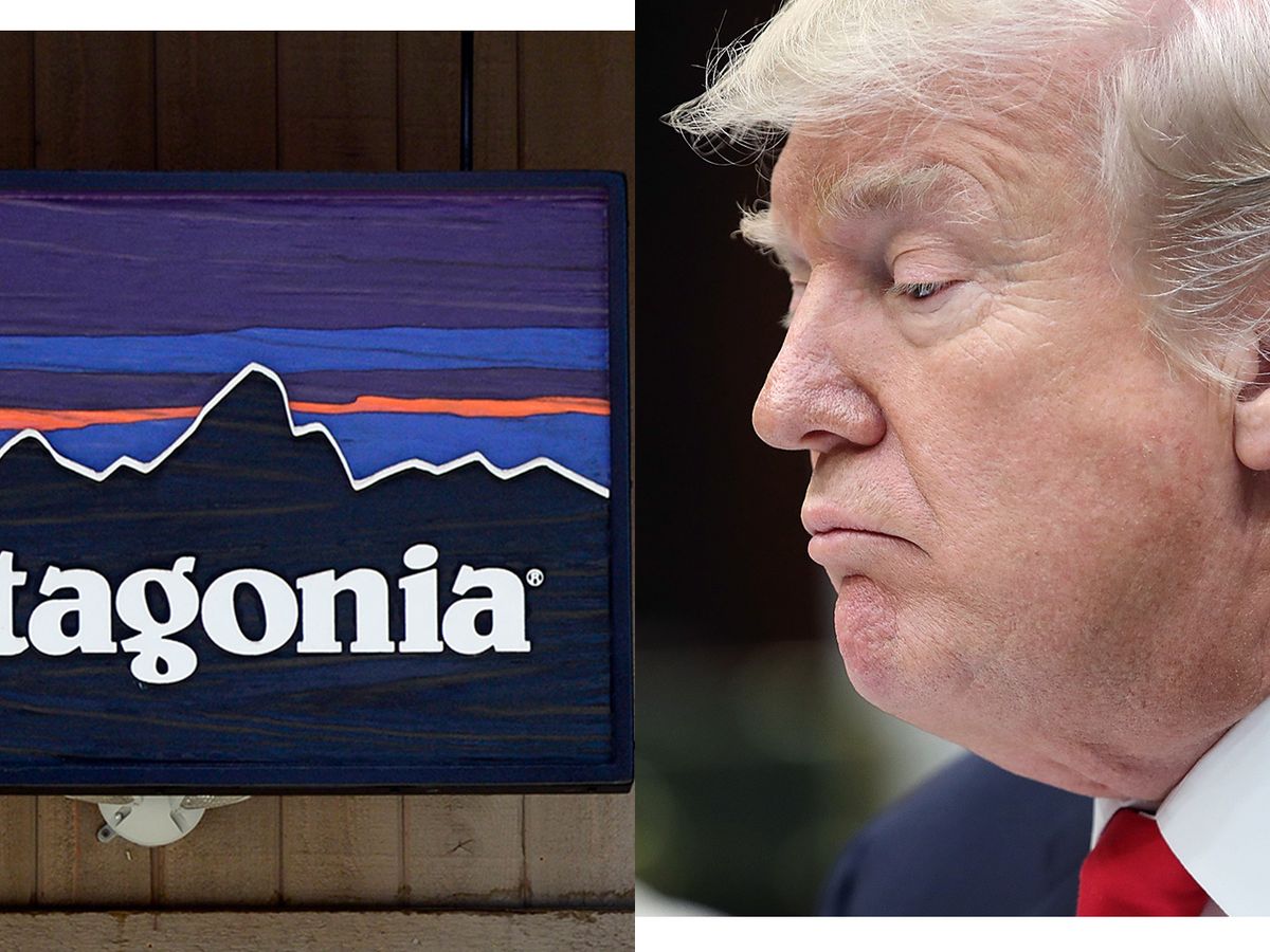 Patagonia Responds to Trump - Patagonia Is Not Holding Back