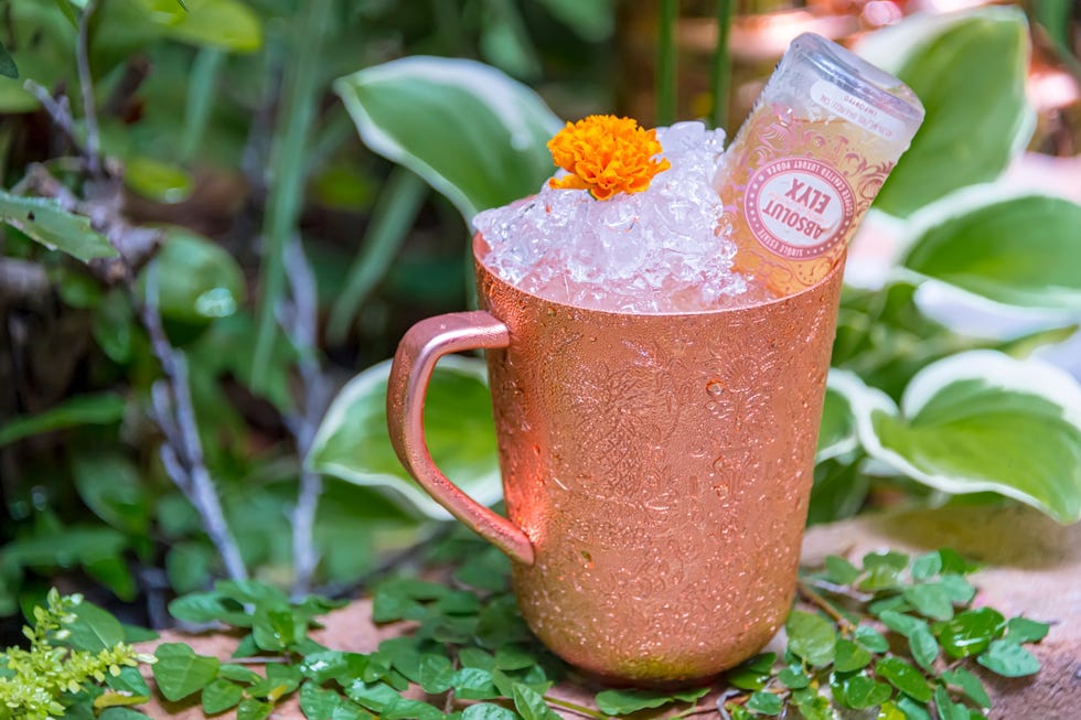 Non-alcoholic beverage, Drink, Moscow mule, Plant, Flower, 