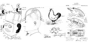 Line art, Head, Organism, Black-and-white, Drawing, Illustration, Art, Jaw, Coloring book, Bird, 