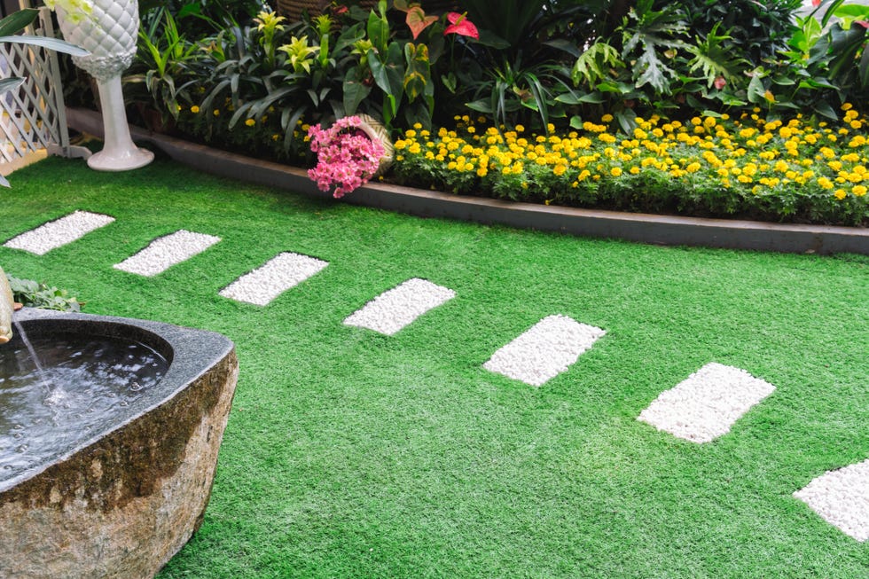 Path in a garden