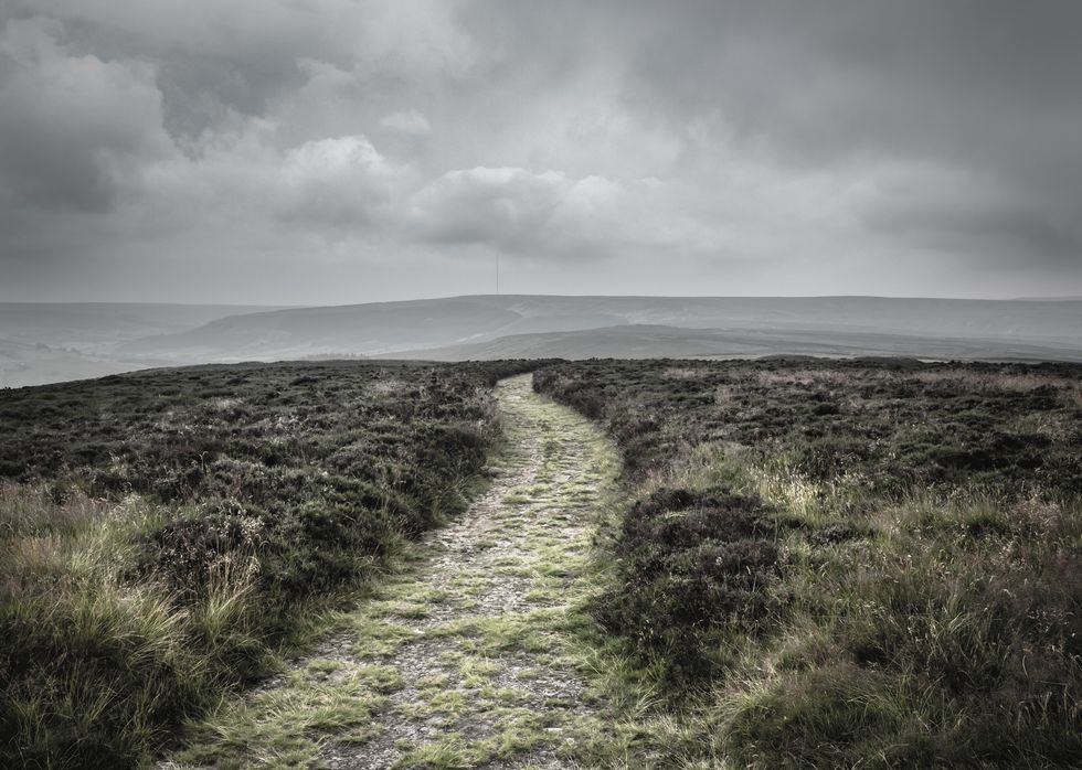 path in the north york moors national park