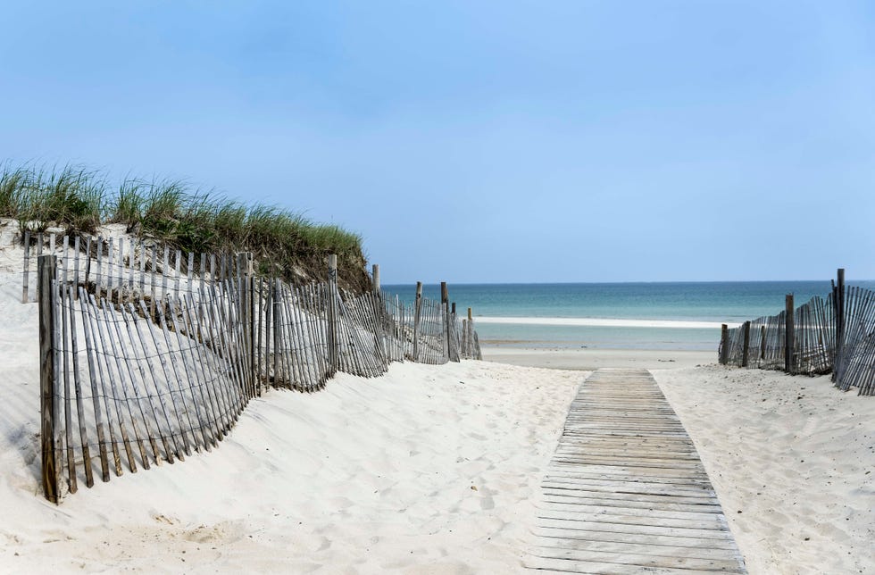 path leading to the beach on cape cod bay