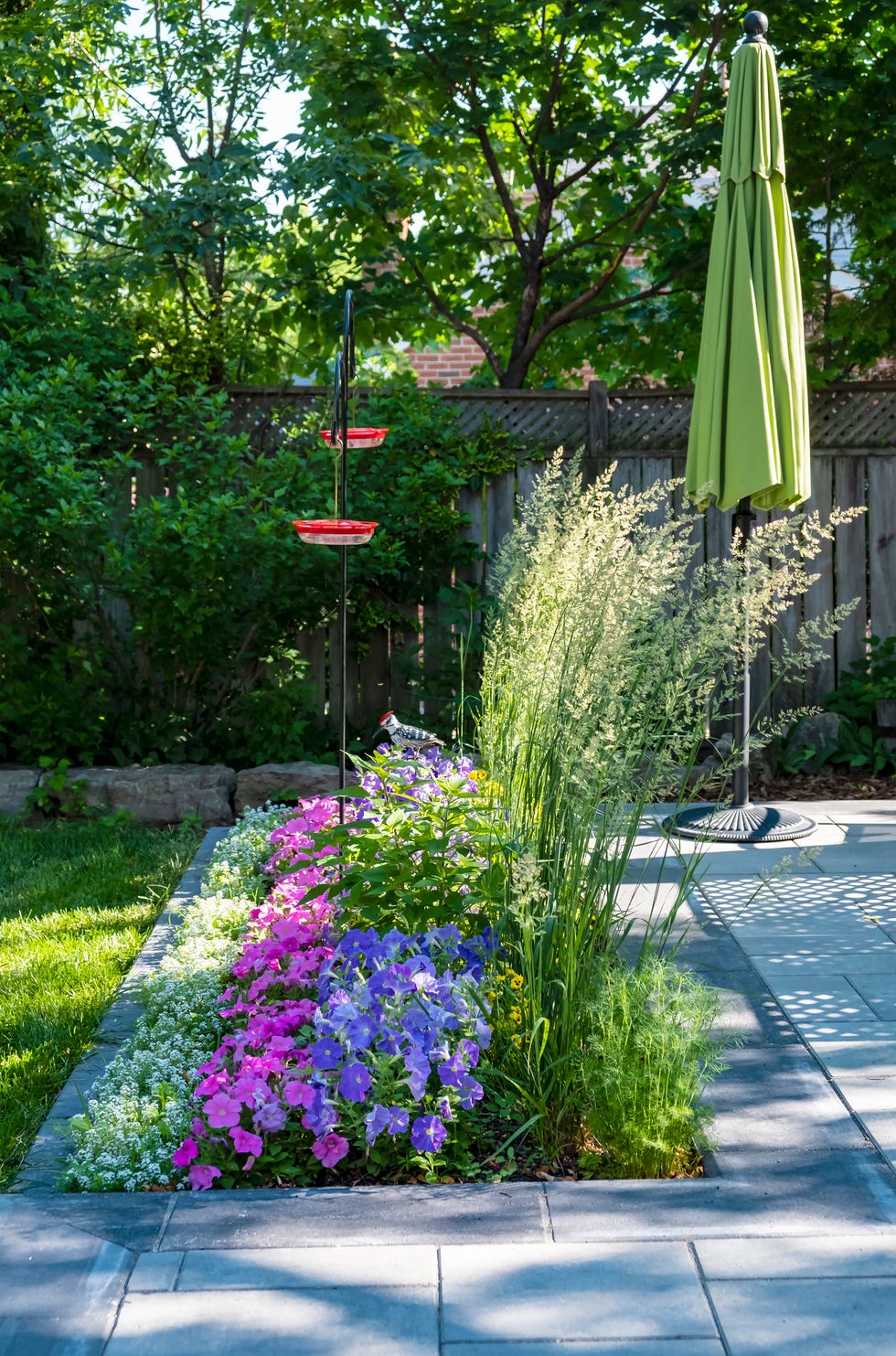 beautiful small garden plans filled with flowers and two red hummingbird feeders