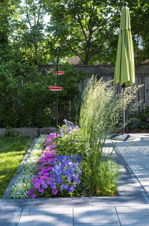 beautiful small garden plans filled with flowers and two red hummingbird feeders